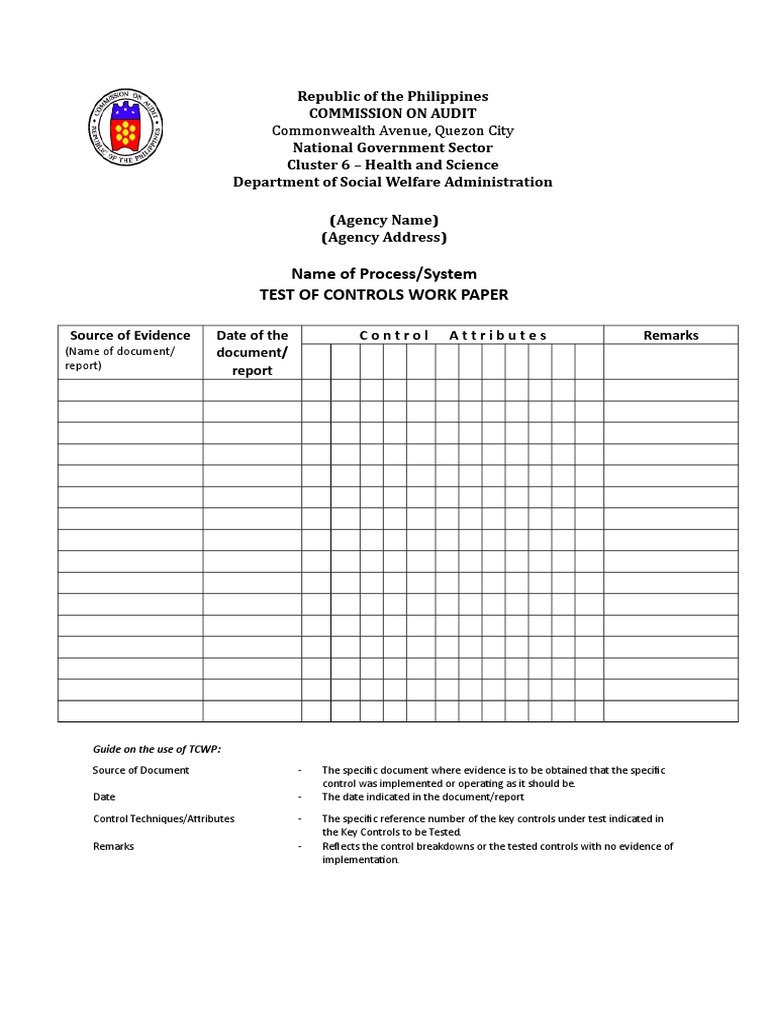 Test of Controls Work Paper Template | PDF