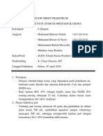 FLOW SHEET PRAKTIKUM (HIDROLISIS PATI) 2.pdf