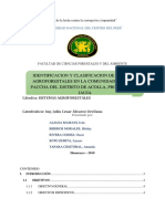 Identificacion-y-clasificación-informe.docx