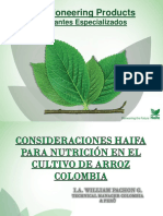 Nutricion Arroz Haifa Colombia