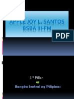 3rd Pillar of BSP Apple Joy Santos