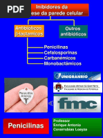 2.1._penicilinas_2019