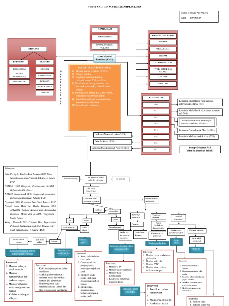 Woc Aml | PDF