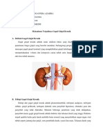 Andi Annisa Azahra - 1813015064 - BIOMEDIS - Mekanisme Terjadinya Gagal Ginjal Kronik