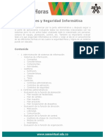 Controles Seguridad Informatica PDF