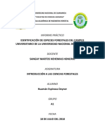 Informe Identificación de Plantas Forestales en La Universidad