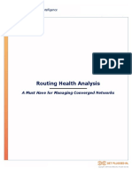 IP Routing Analysis White Paper