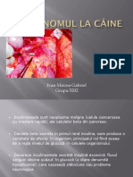 Insulinomul La Câine