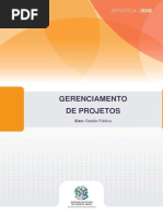 Gerenciamento de Projetos