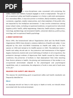SHERQ Policy | PDF