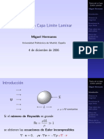 F. Resagados. Presentacion_Capa_Limite.pdf