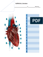 Relatório Miocárdio