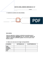 Actividades Refuerzo Segundo