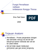 Struktur_dan_Fungsi_Pernafasan.pdf