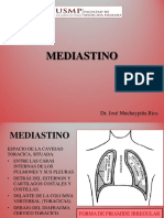 Mediastino Jose PDF