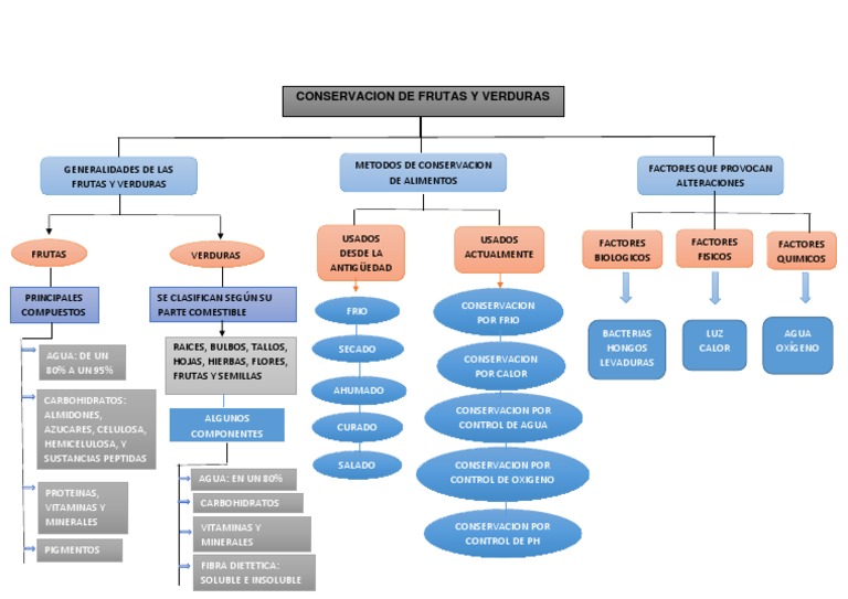 Mapa Conceptual Conservacion de Frutas y Verduras PDF