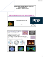 Aulas 13-16 Citoesqueleto e Seus Componentes 