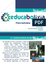 (PR) Flora Boliviana
