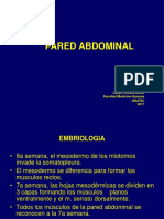 Pared Abdominal