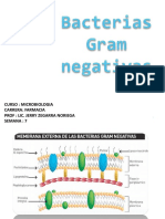 Bacterias Gram Negativa