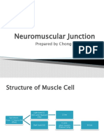 Neuromuscular Junction: Prepared by Chong Yong Shean 5/11/2010