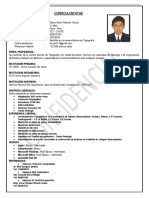 Curriculum Vitae Bruno Ramirez