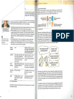 Schultz v Thun (anschaulich).pdf