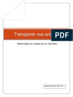 Relatório- Transporte nos animais.pdf