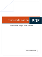 Relatório - Transporte Nos Animais PDF