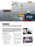Metocean Services