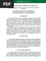 O Caso Da Cracolândia