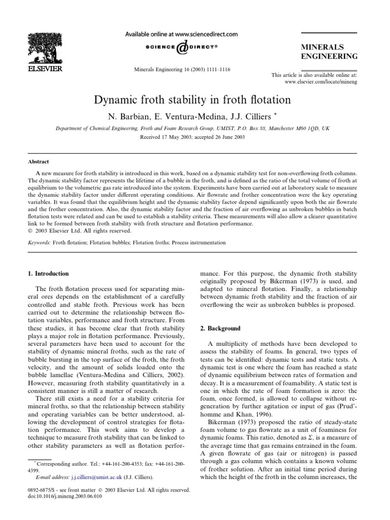 Dynamic Froth Stability in Froth Flotation PDF | PDF | Foam | Gases