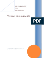 Tecnicas de Organizacion