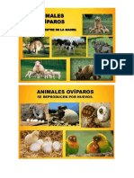 Animales Viviparos