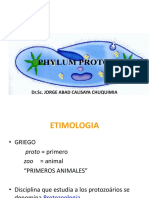 2. Protozoarios Ok