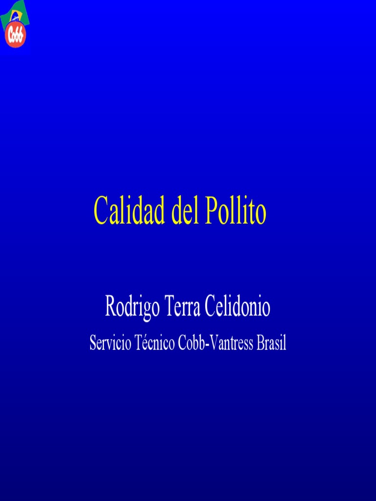 Calidad del Pollito: Factores Clave | PDF | Huevo | Reproducción