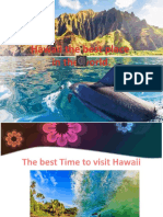 Hawaii The Best Place in The World