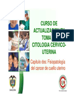 Anatomia y Semiologia