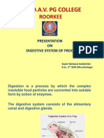 Digestive System of Frog PDF