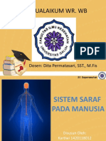 Sistem Saraf Pada Manusia Fix