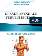 LP6. Glande anexe