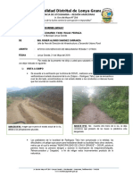 Informe N°117