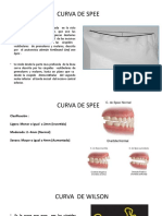 Curvas de La Oclusion