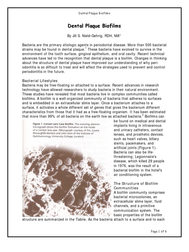 Dental Plaque Biofilms Biofilm Bacteria