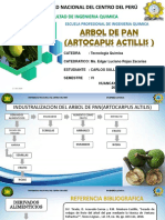 Industralizacion Del Arbol Del Pan (Artocapus Altillis)