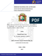Canaza Cahuana Roxana PDF