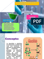 Glucolisis Biologia