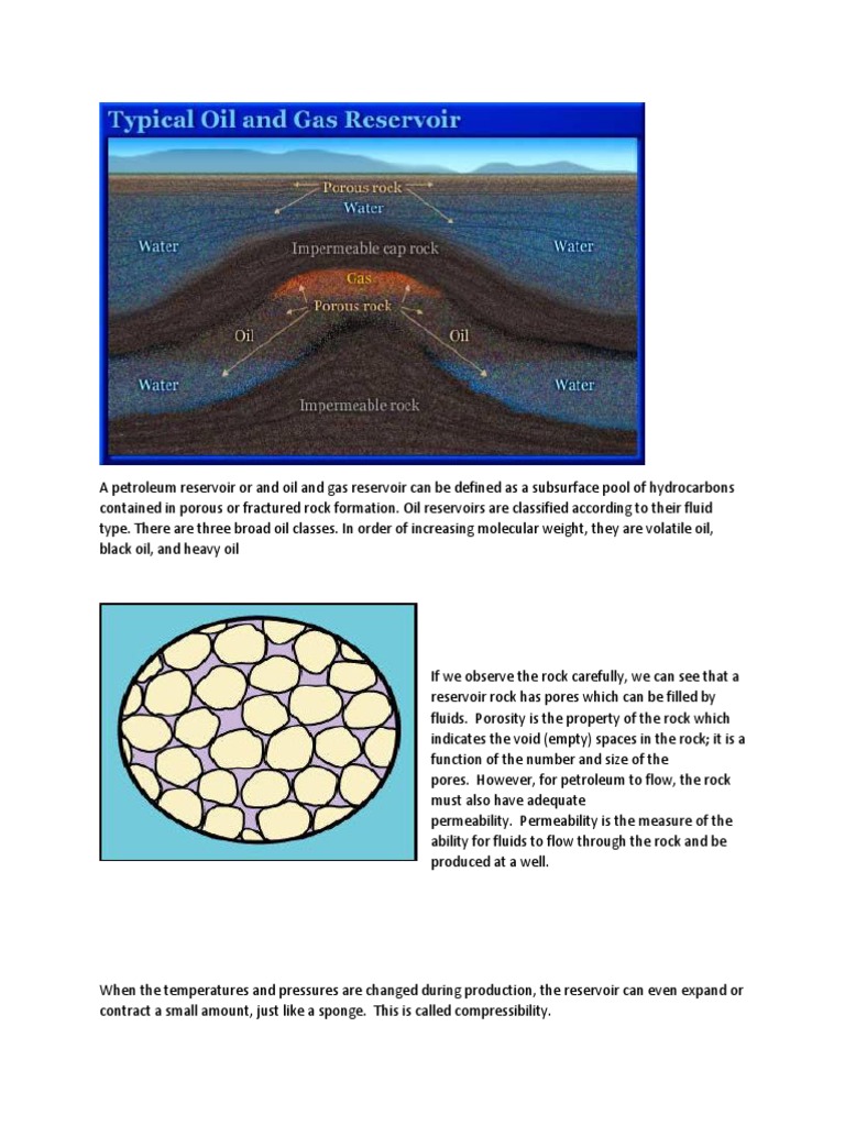 Understanding Petroleum Reservoirs | PDF | Petroleum Reservoir | Porosity