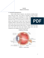 Css Ulkus Kornea Revisi