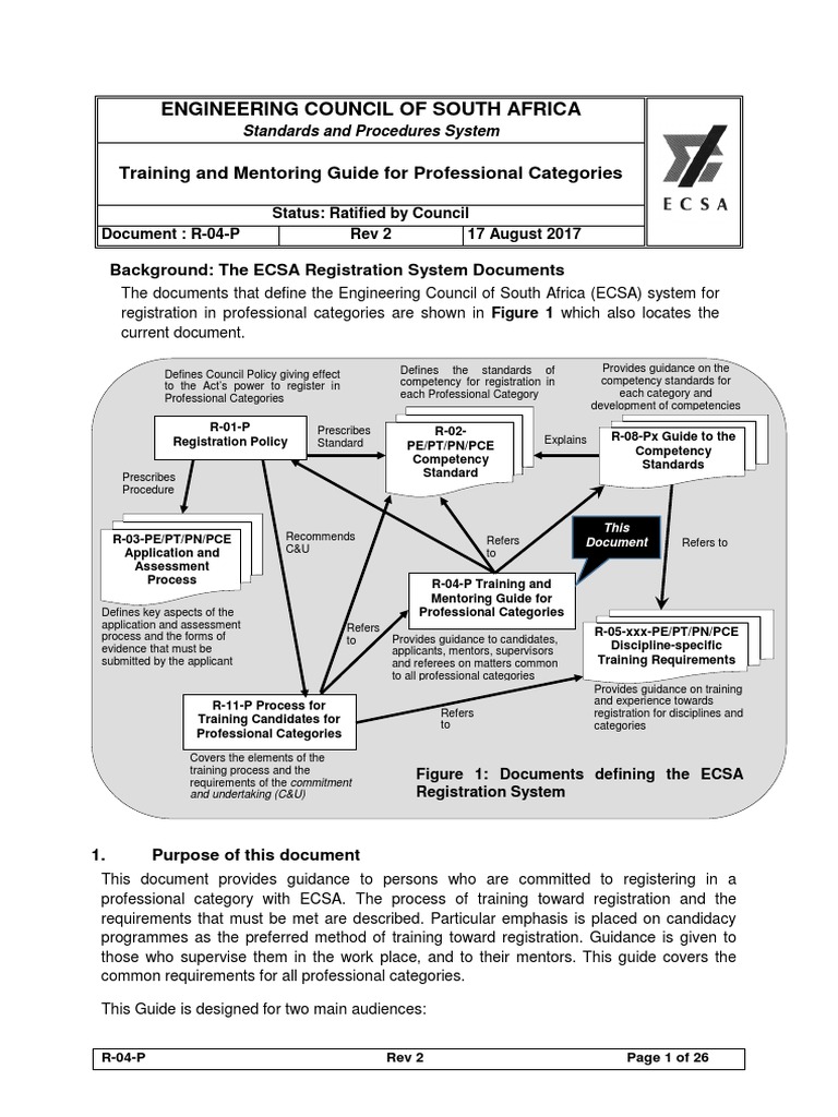 ECSA Training & Mentoring Guide | PDF | Mentorship | Engineering
